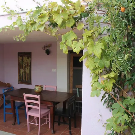 Casa Amarosa